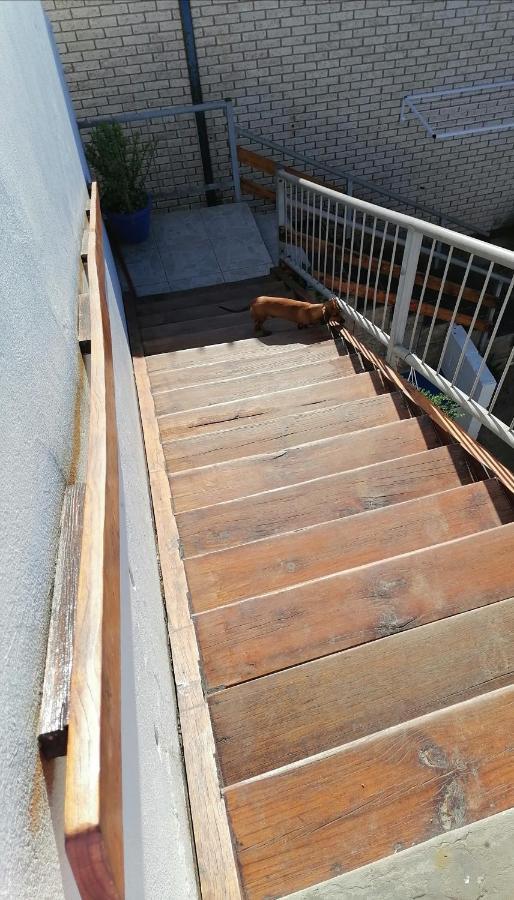 Bokkomblommetjie Lambertʼs Bay エクステリア 写真