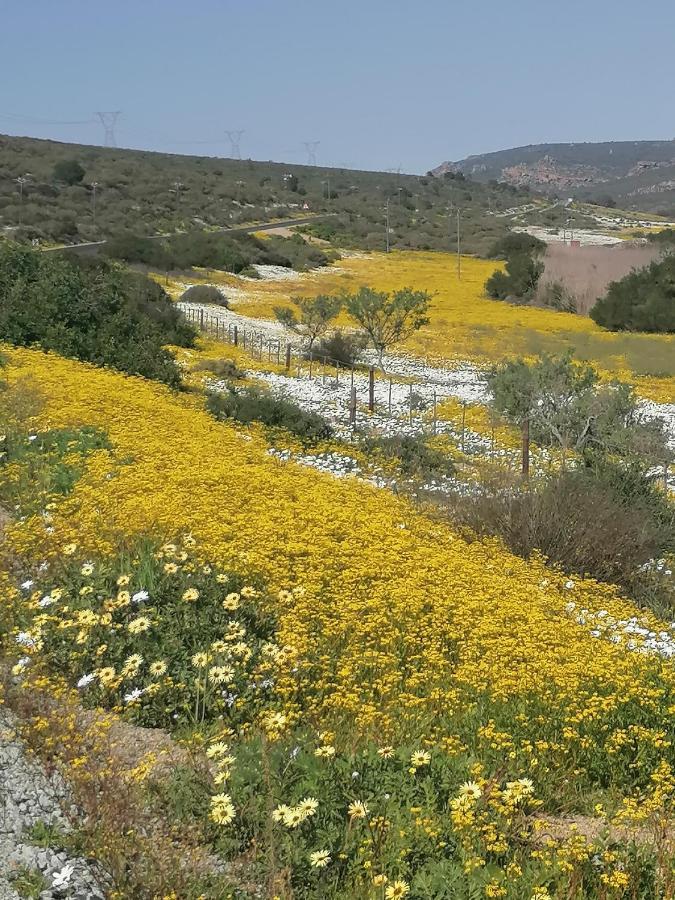 Bokkomblommetjie Lambertʼs Bay エクステリア 写真